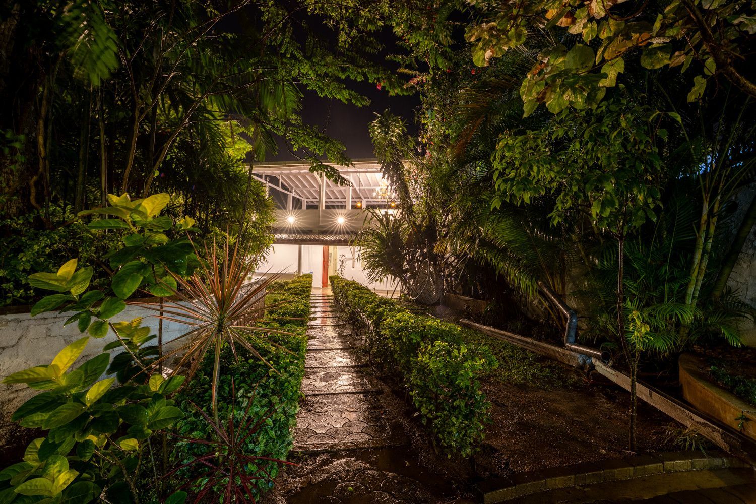 Nighttime view of a pathway lined with bushes leading to a white building, surrounded by lush green foliage.