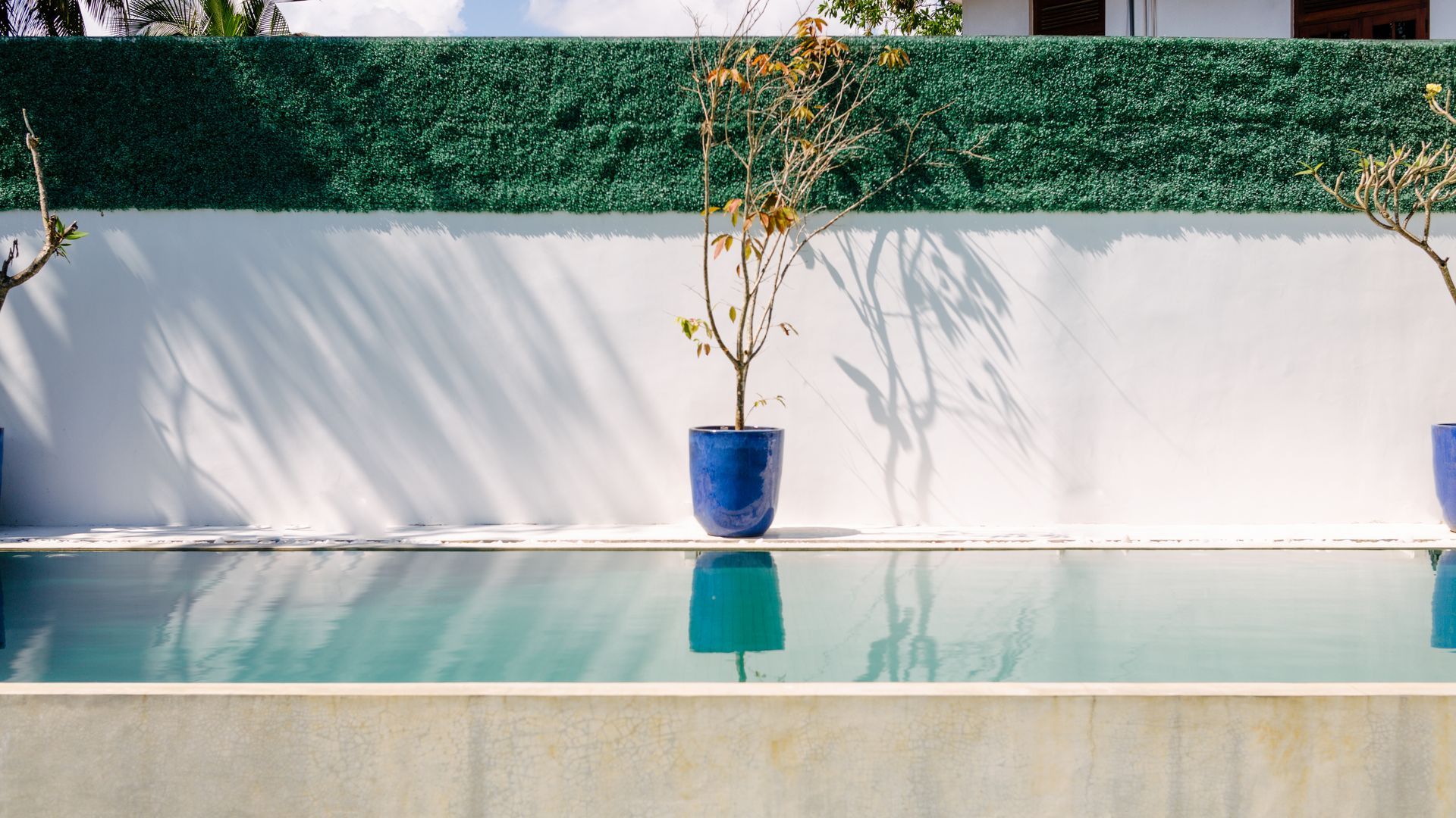 Pool with turquoise water, blue potted plants against a white wall with a green hedge.