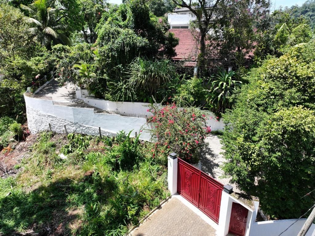 Views & Surroundings 