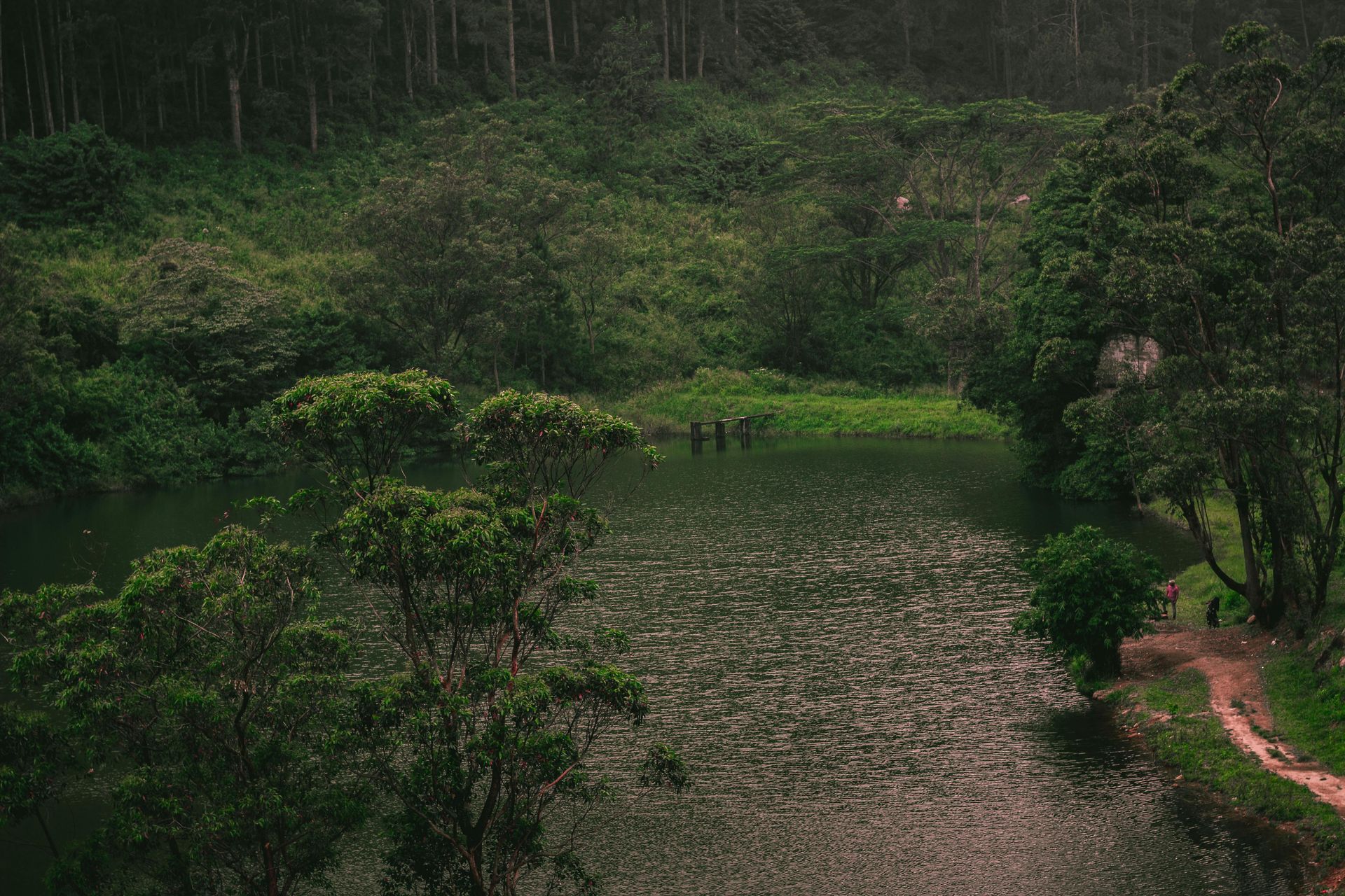 Lake surrounded by green trees, with a path along the right side and a forest backdrop.