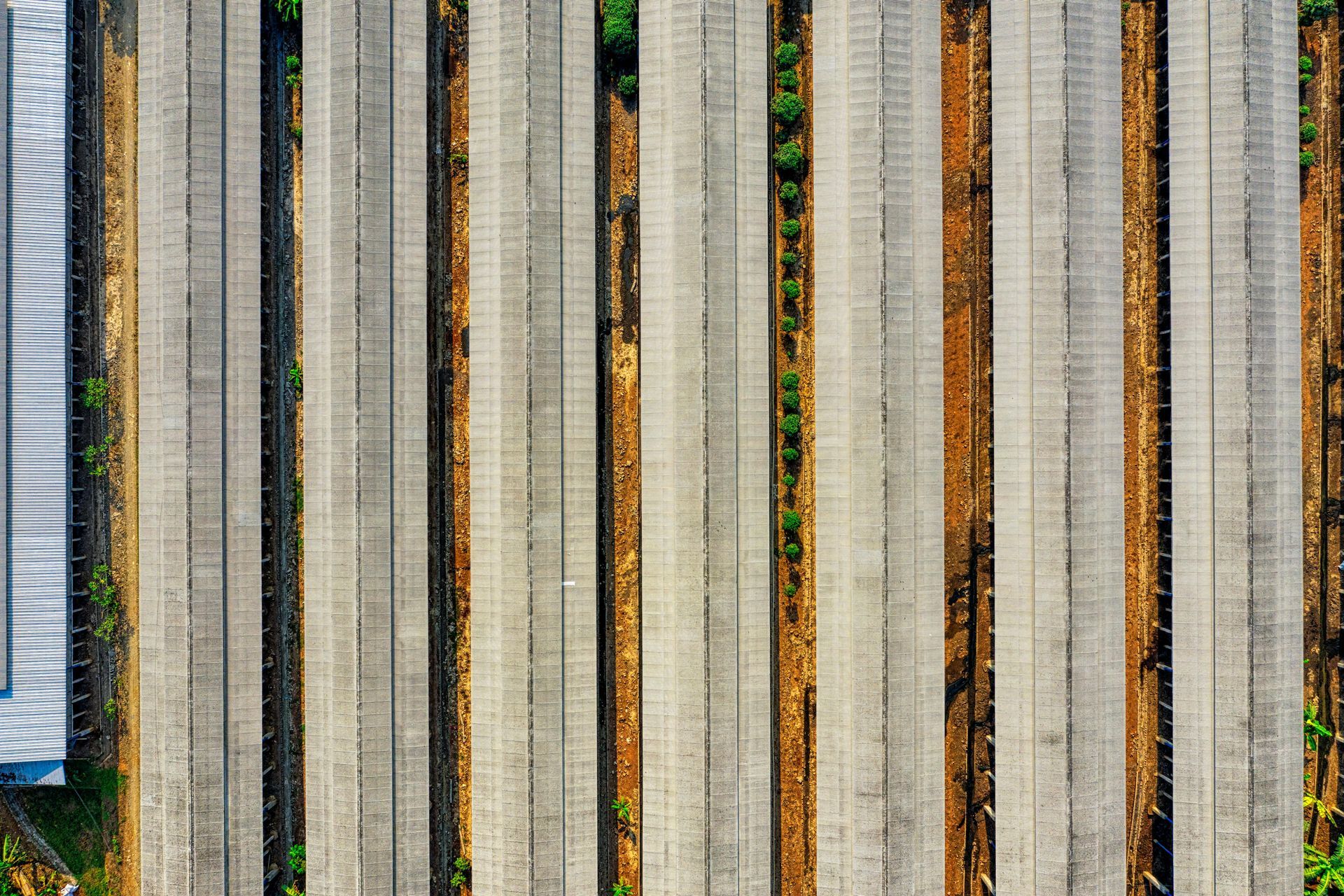 Overhead view of organized rows of crops in a field with alternating light gray and brown sections.