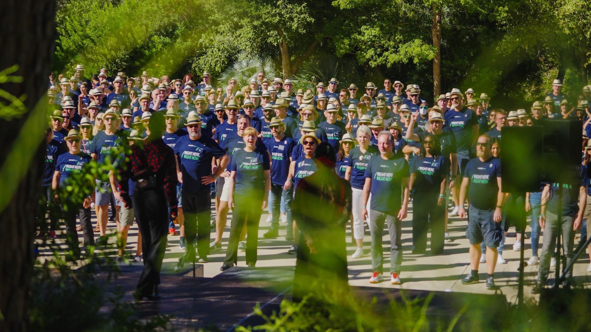 Large group of people wearing blue shirts and hats in a park, surrounded by trees.