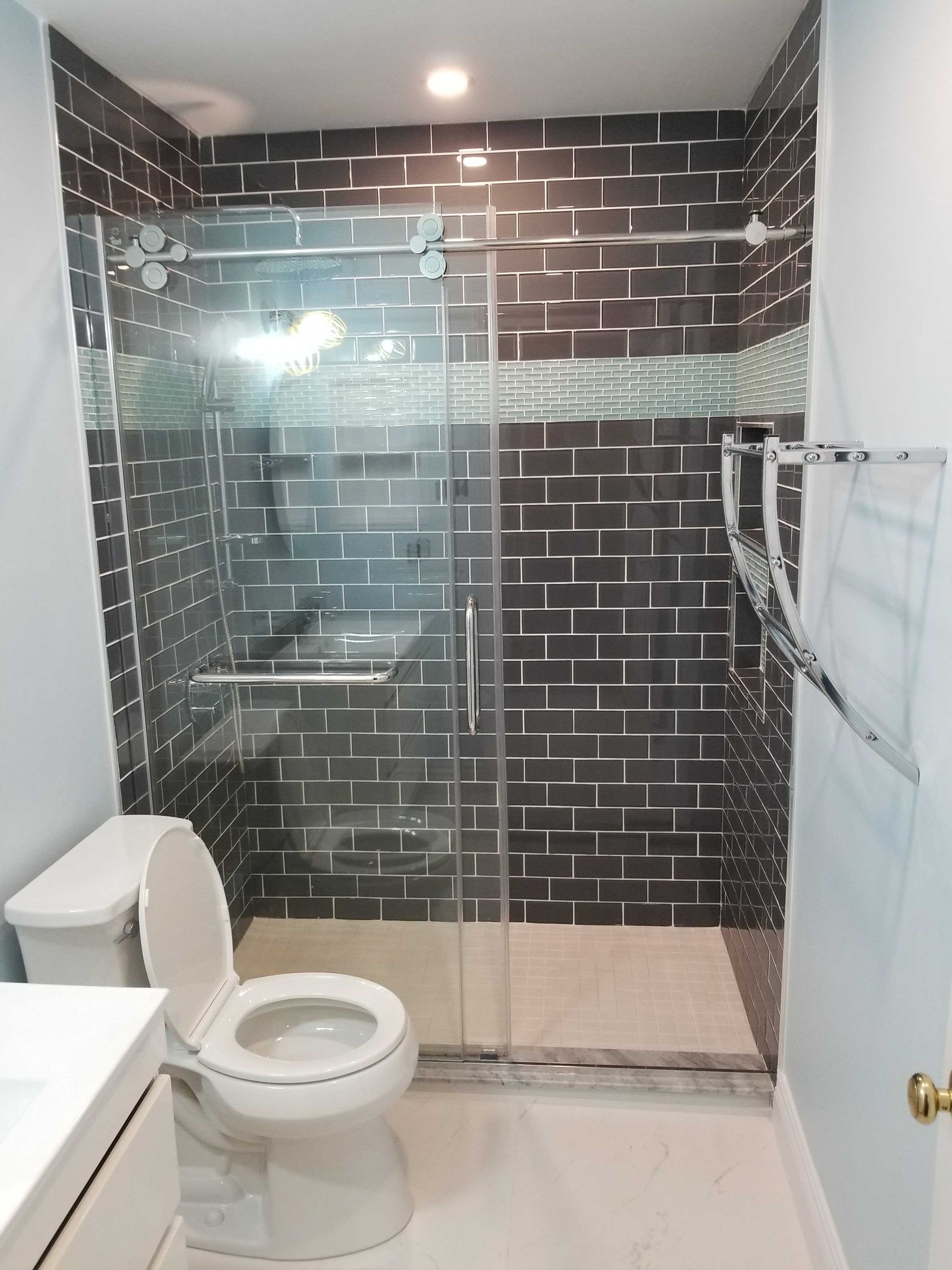 A bathroom with a toilet a sink and a walk in shower