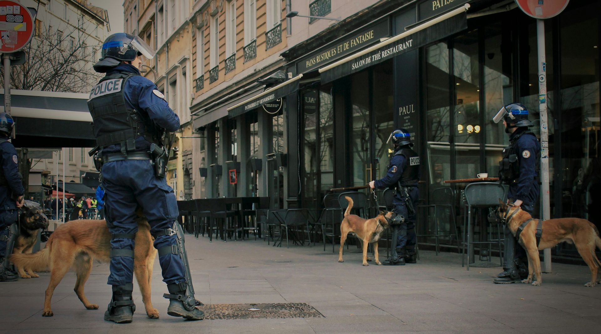 A group of police officers standing on a sidewalk with dogs.