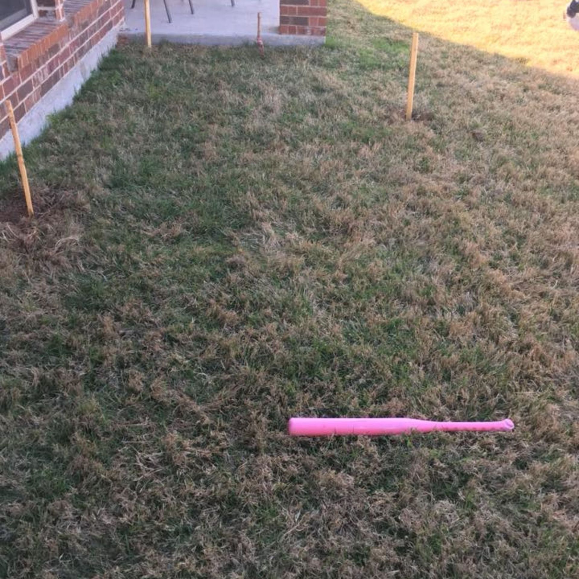 Masters Touch Roofing - A pink baseball bat is laying in the grass.