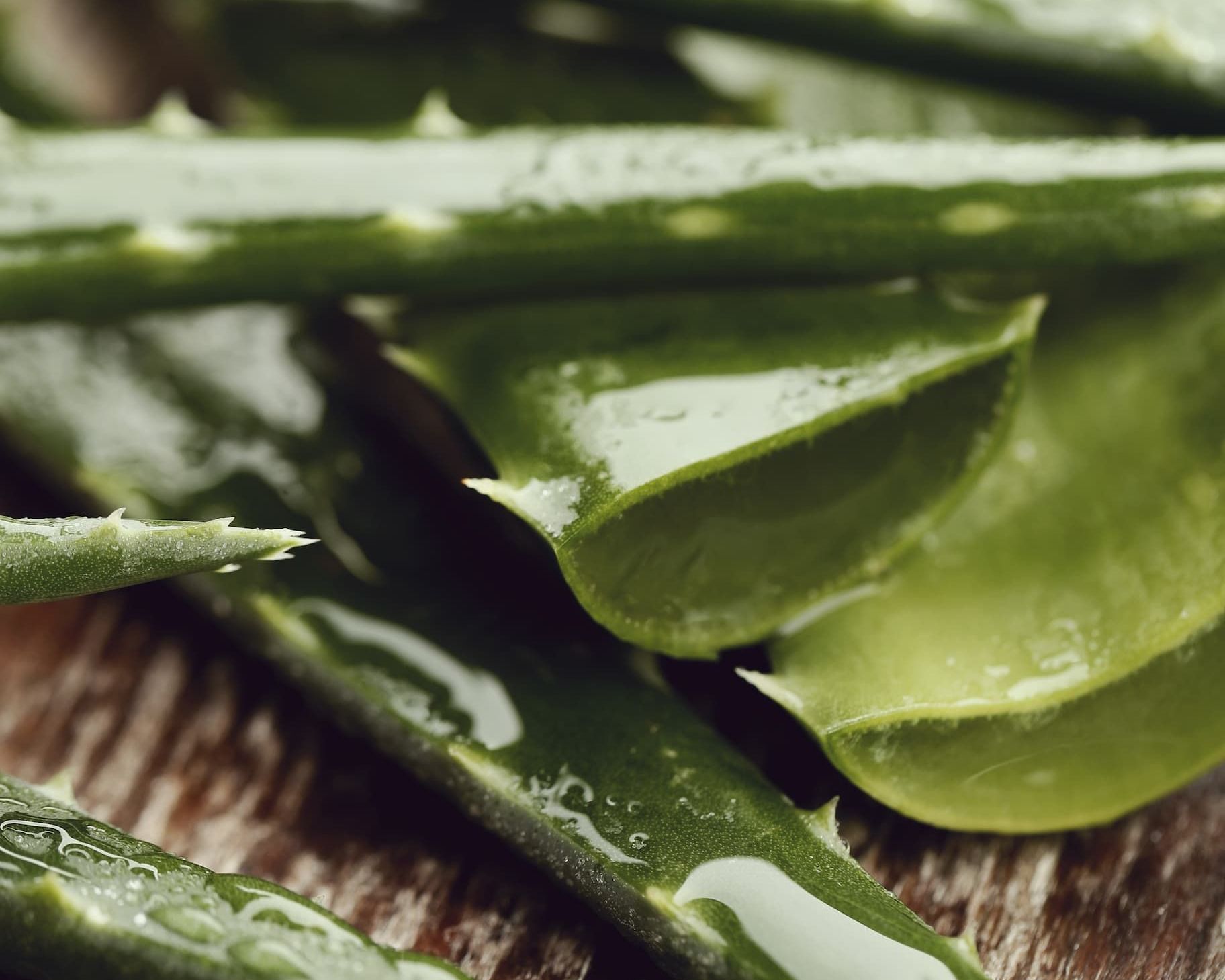 Un gros plan de feuilles d'aloe vera sur une table en bois.