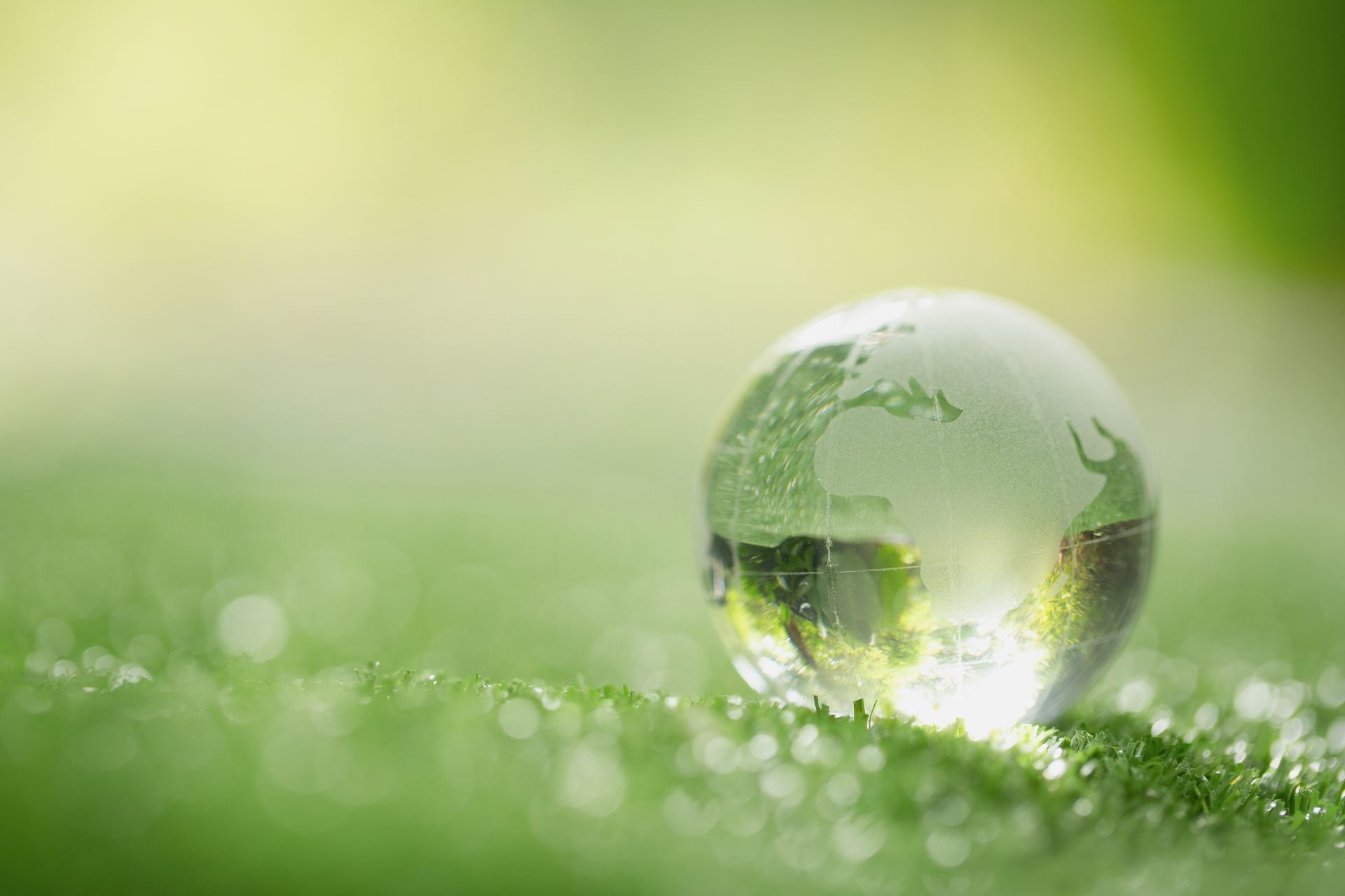 Crystal globe rests on a dewy lawn