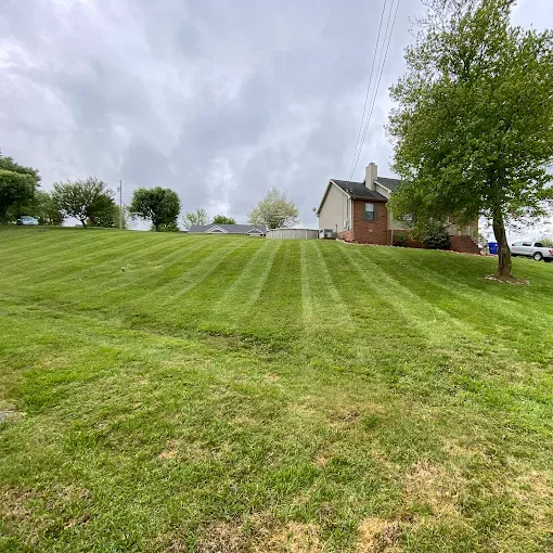Lawn with freshly cut stripes in front of a house under a cloudy sky.