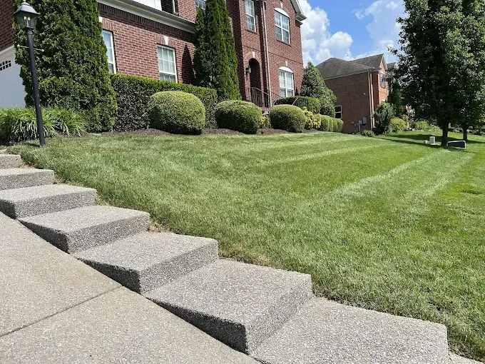 Stone steps lead to a grassy lawn and a brick house on a sunny day.