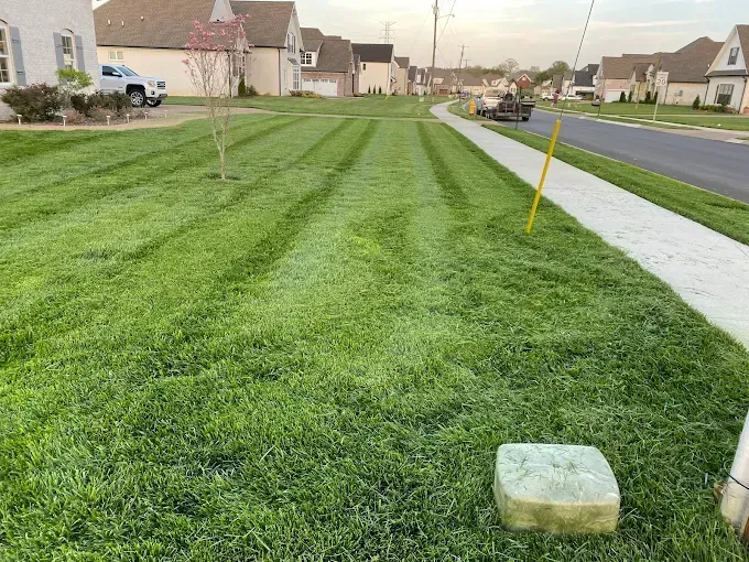 Lawn with freshly mowed stripes next to a sidewalk and road in a suburban neighborhood.