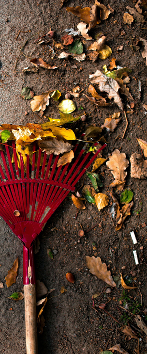 A red rake collects fallen leaves on a dark, earthy surface.