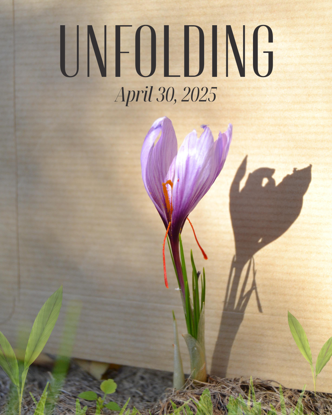 unfolding