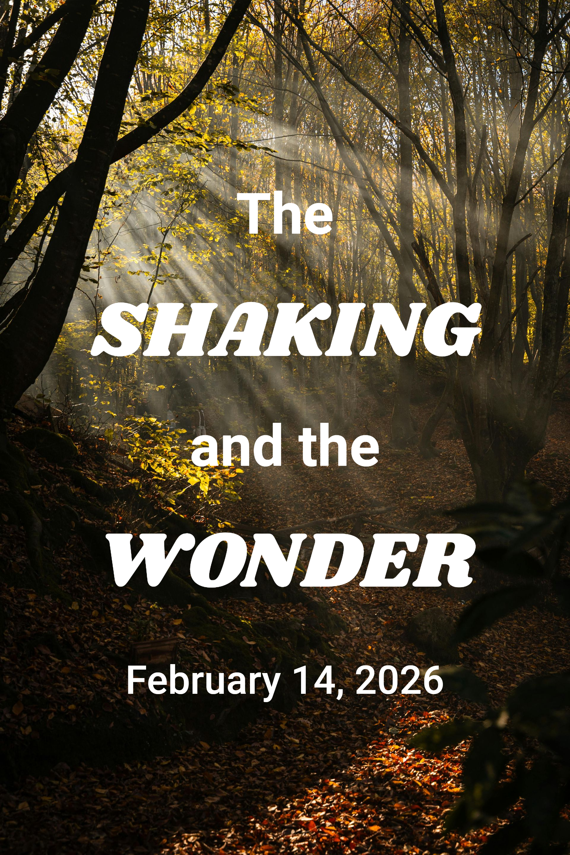 THE SHAKING AND THE WONDER