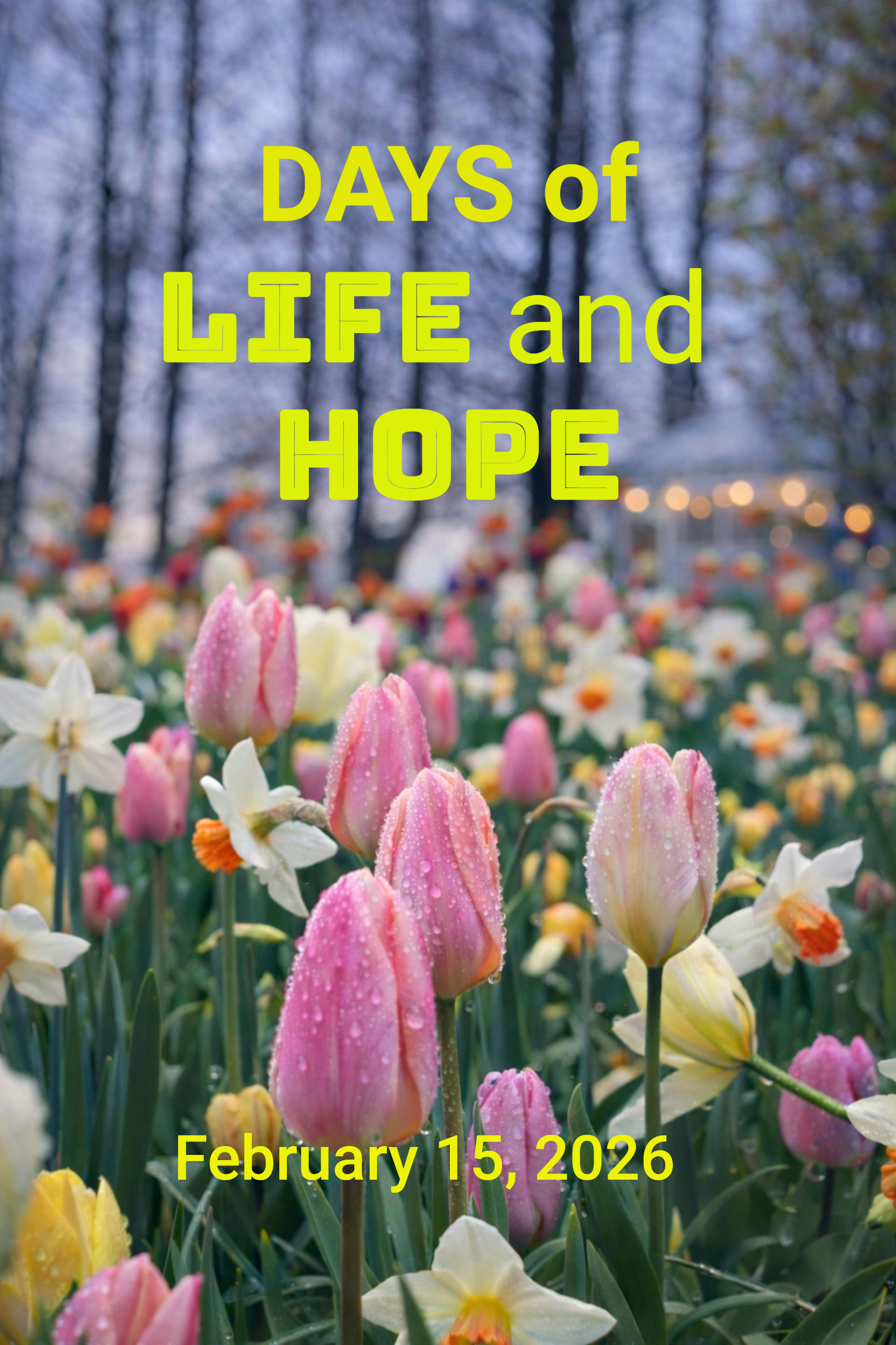 DAYS OF LIFE AND HOPE
