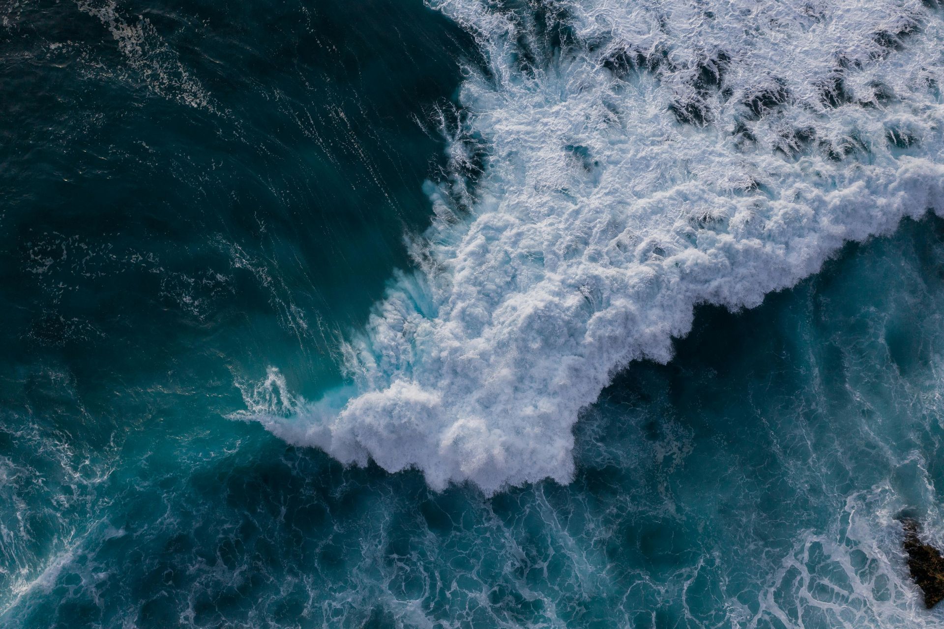 tsunami of life