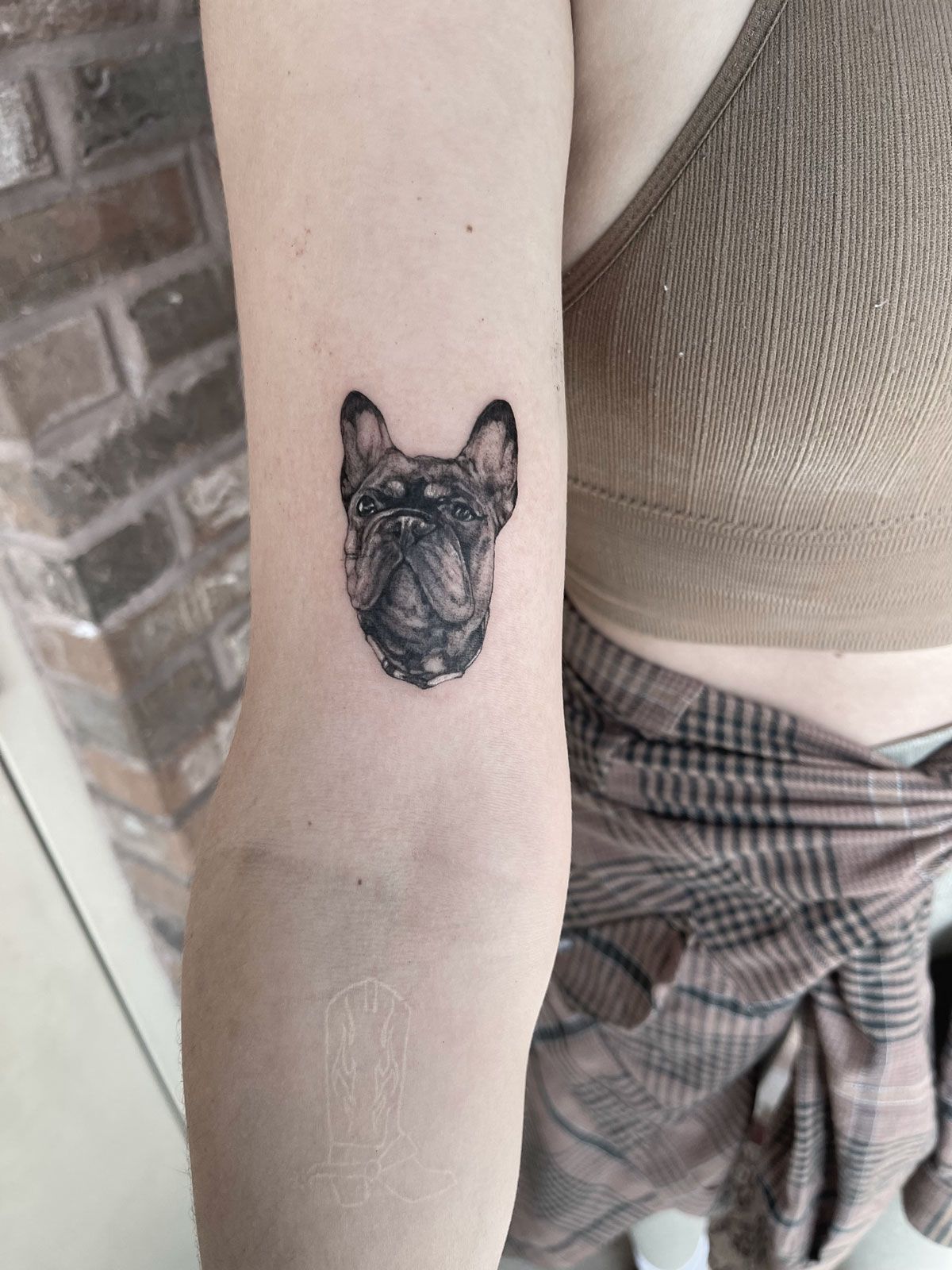 bull dog tattoo
