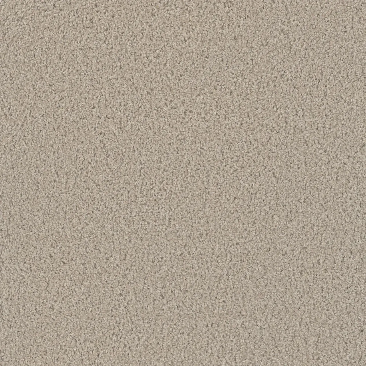 Beige carpet texture.