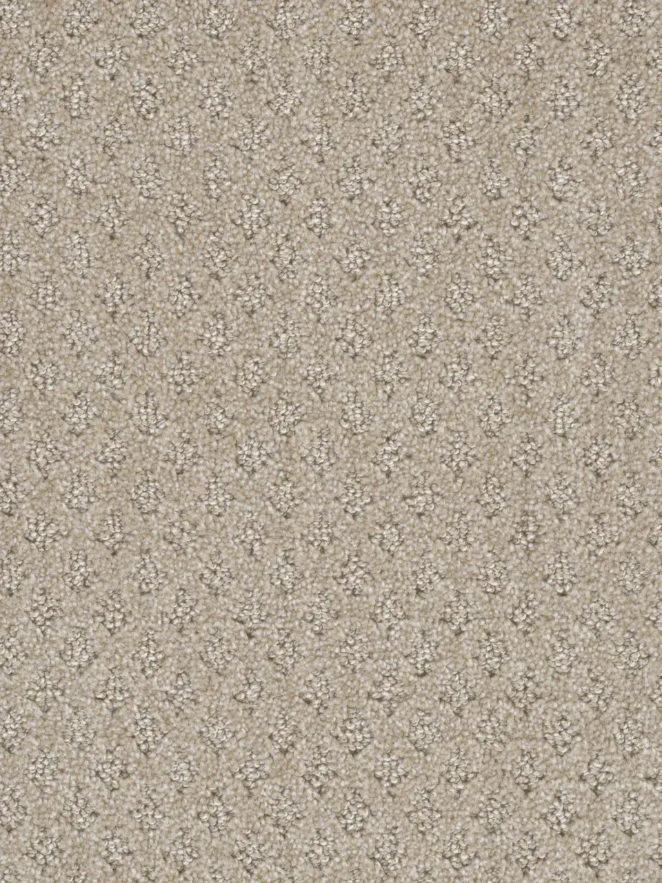 Beige carpet with a speckled, textured pattern.
