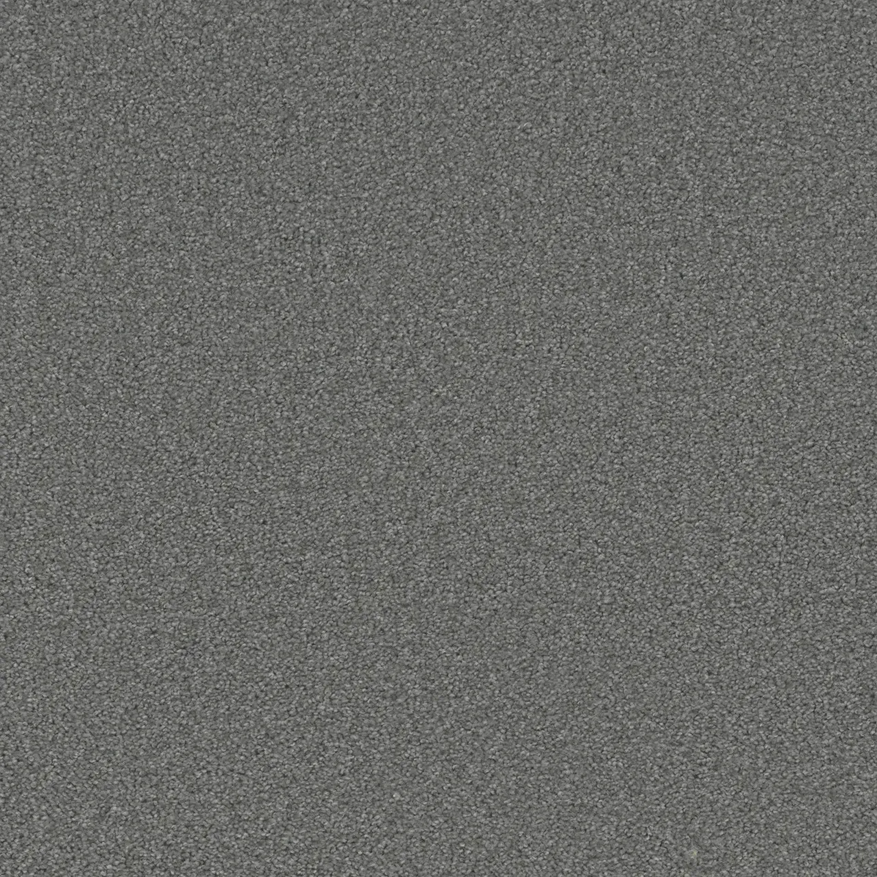 Gray textured background with a speckled appearance.