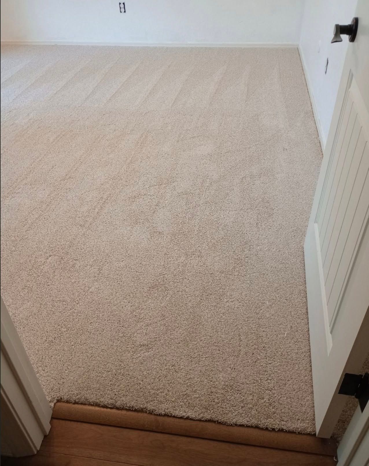 Beige carpeted room with white walls, viewed through a doorway with brown wood flooring and a white door.