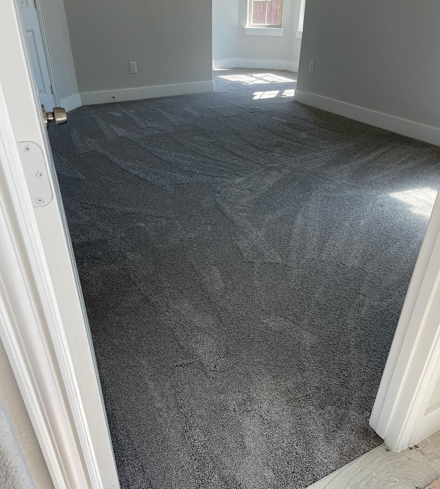 A room with gray carpet and white trim. Sunlight enters from the window.