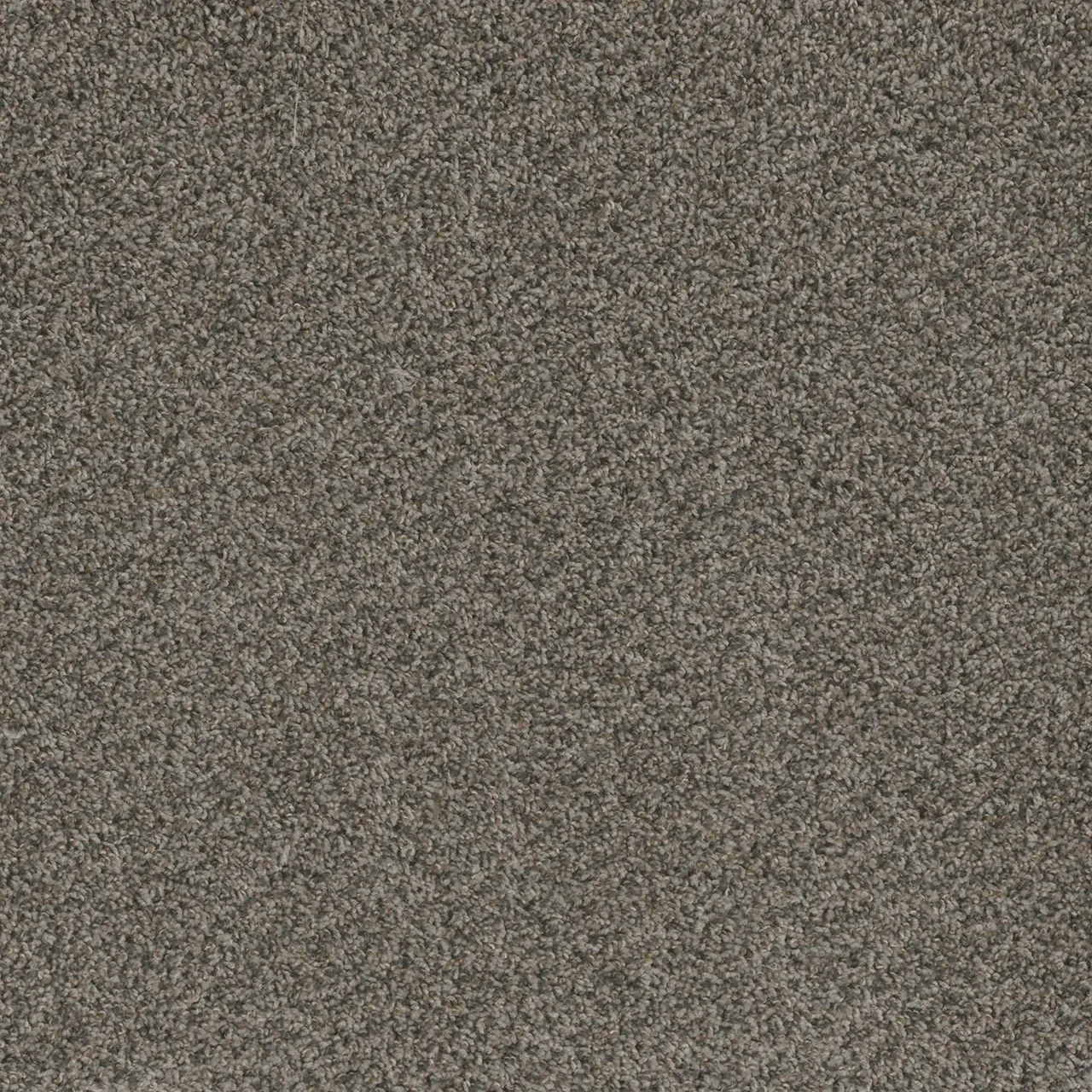 Close-up of speckled gray carpet.