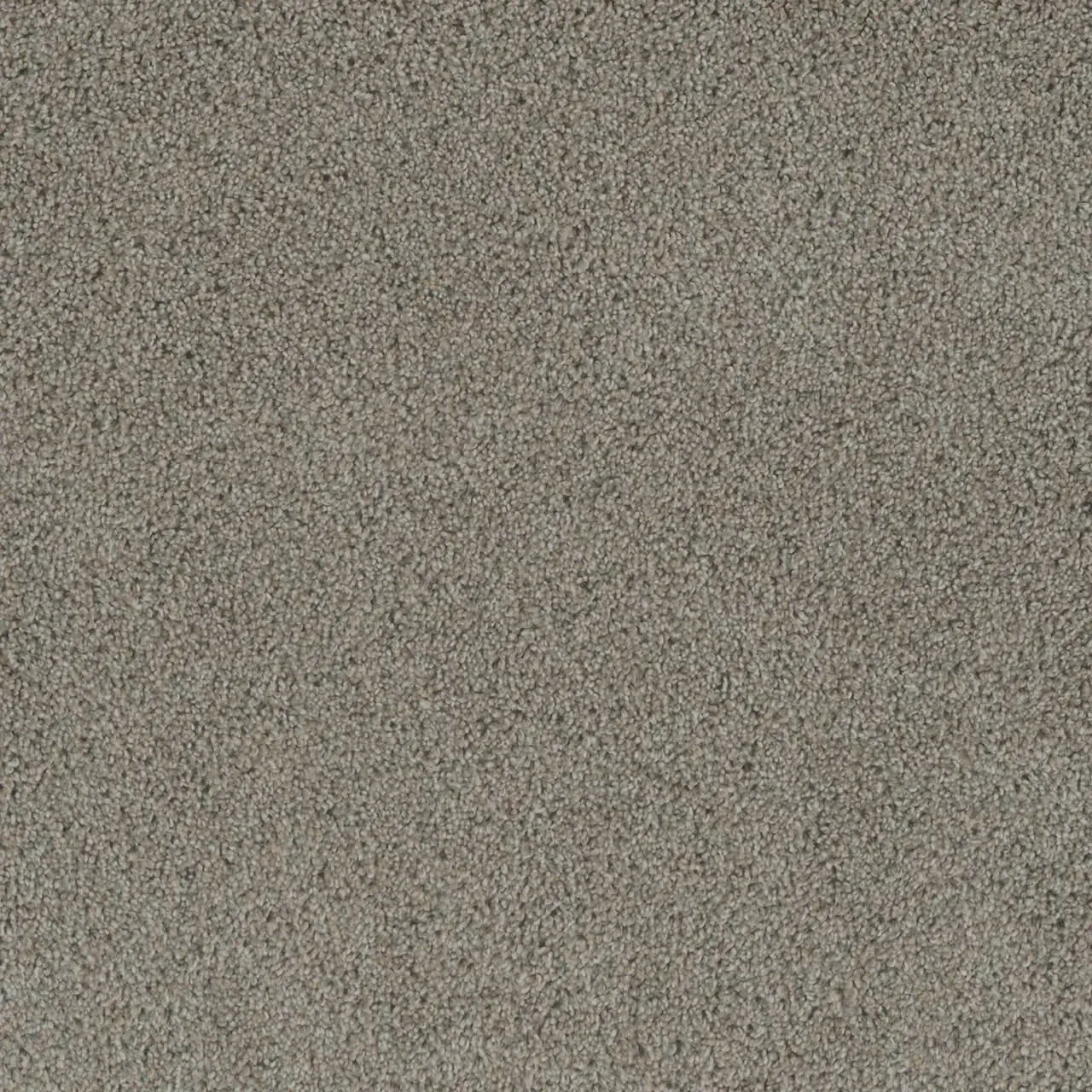Close-up of gray carpet texture with small, speckled details.