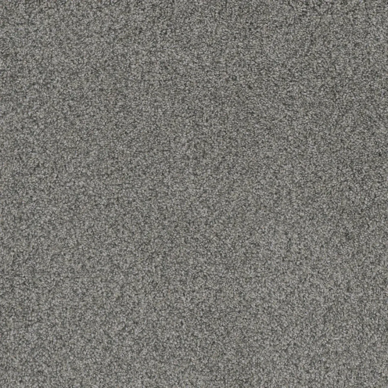 Close-up of gray, textured fabric, likely carpet or felt.