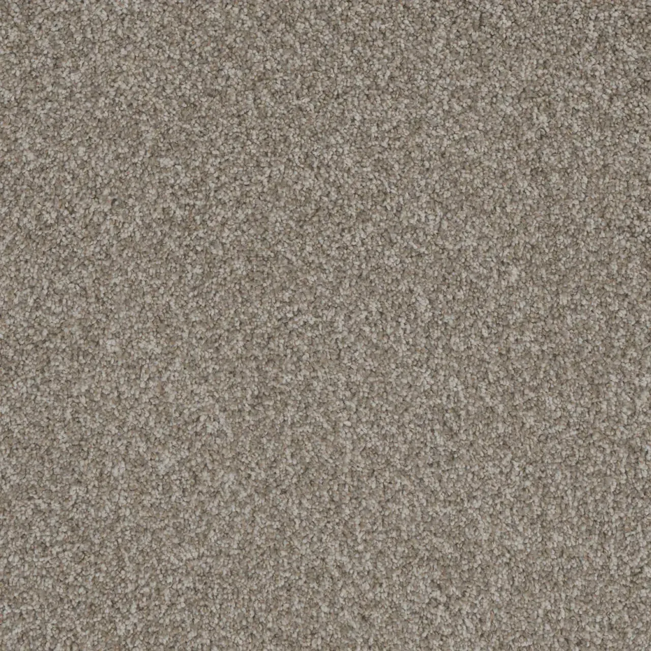 Close-up of beige carpet texture.
