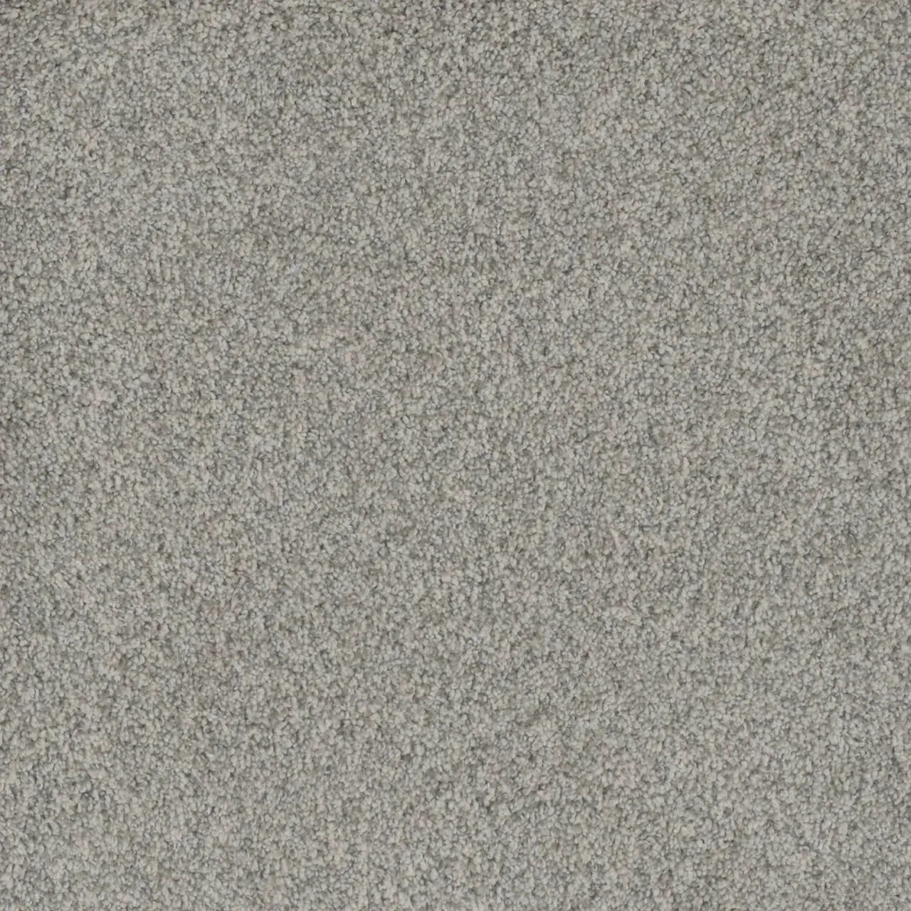 Close-up of gray carpet, showing the texture of fibers.