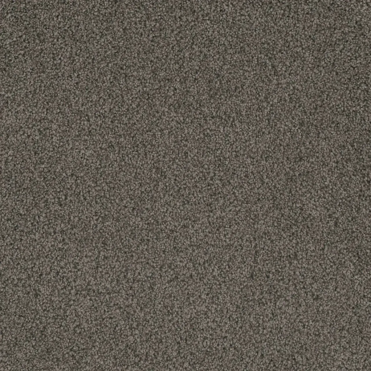 Close-up of brown speckled carpet, with varying shades of brown and gray.