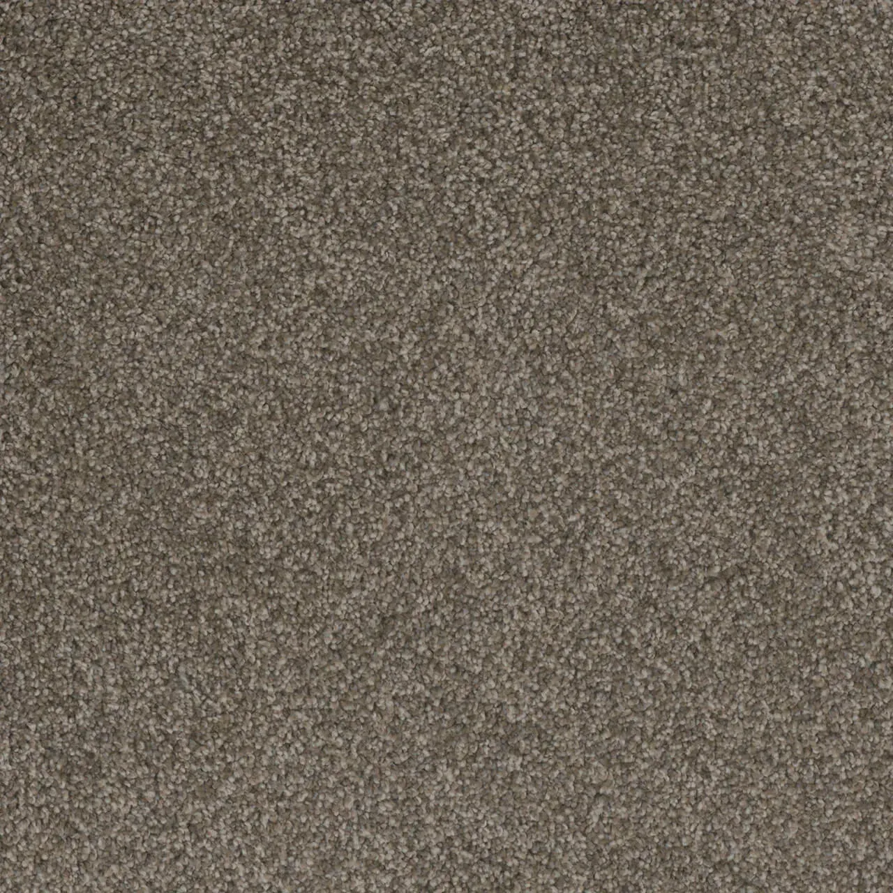 Brown speckled carpet.