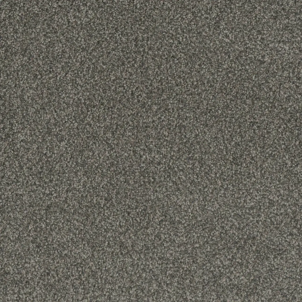 Close-up of gray carpet with speckled texture.