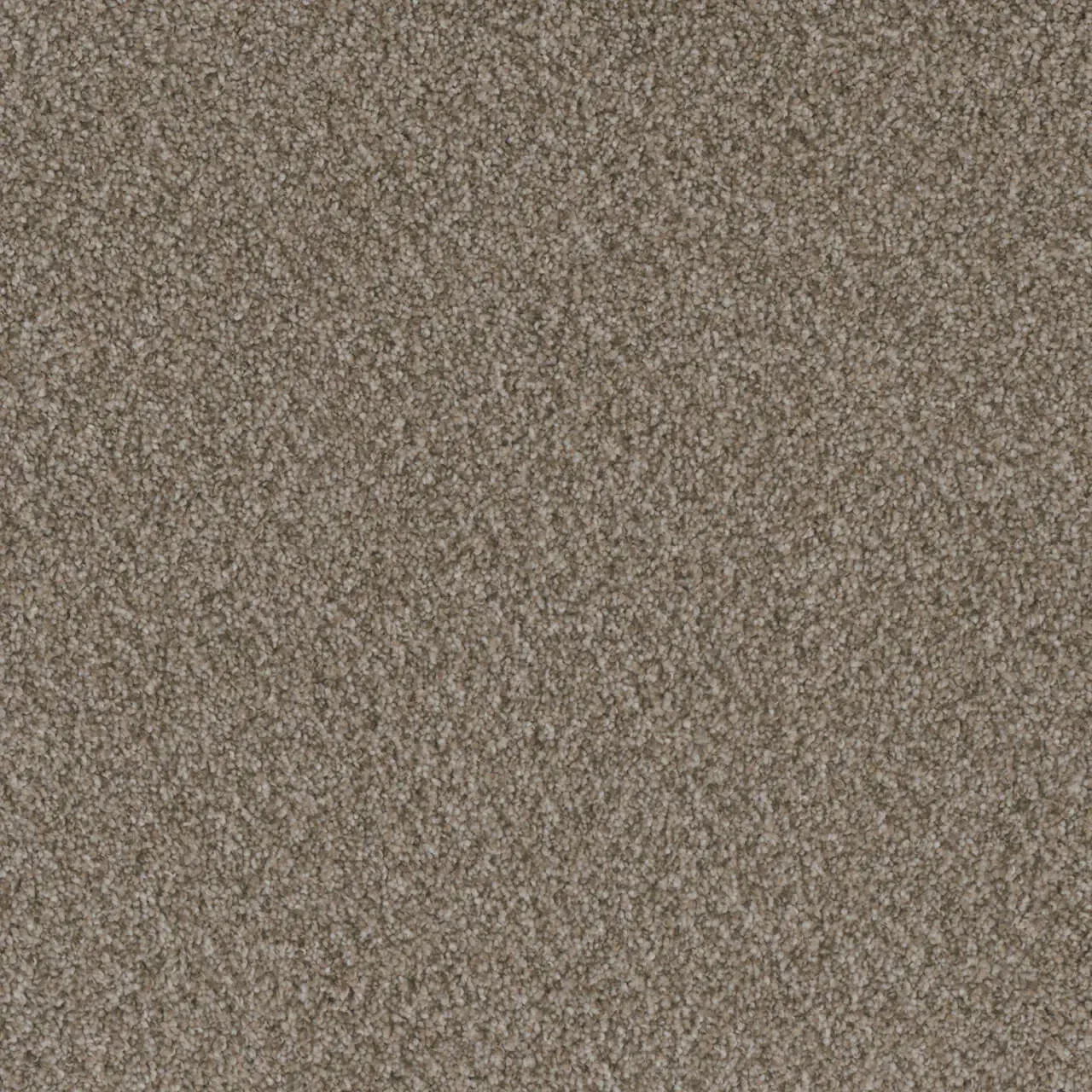 Close-up of beige carpet with a speckled, textured surface.