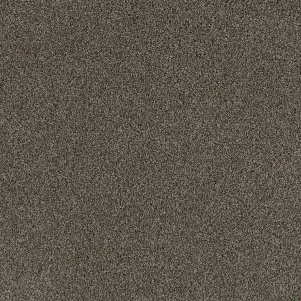 Dark brown carpet texture.