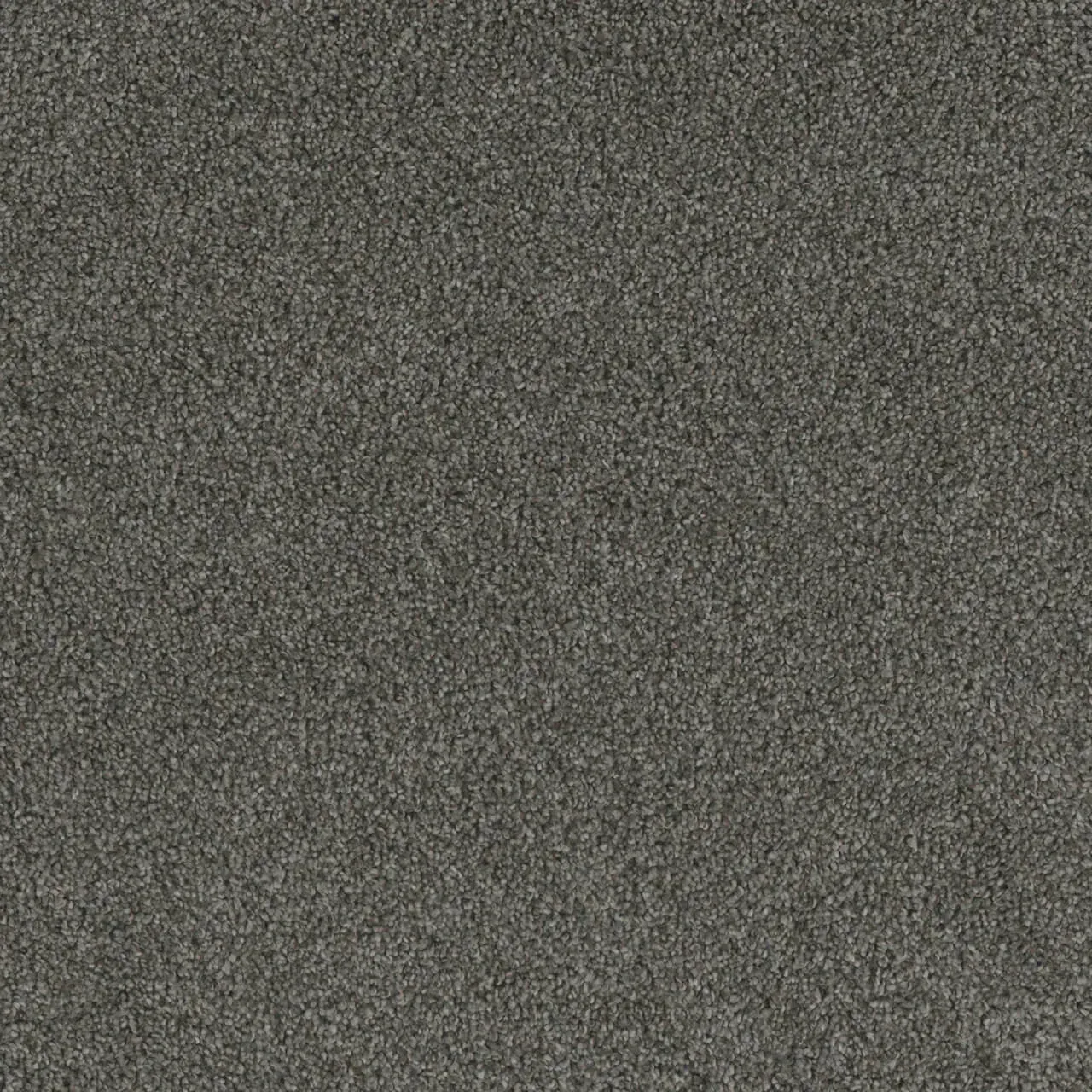 Gray, speckled carpet texture filling the frame.