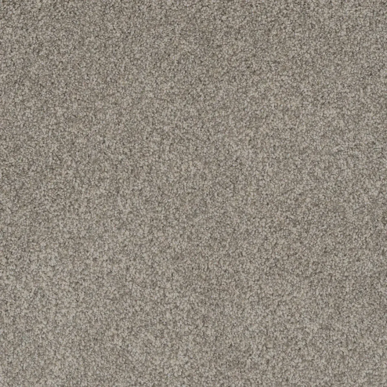 Neutral-toned, speckled carpet.