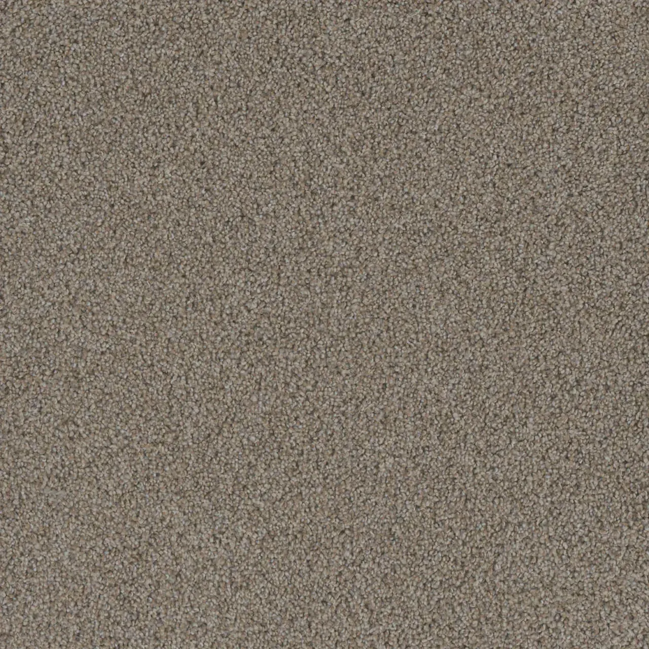 Close-up view of neutral-toned carpet, showing a textured surface with slight variations in color.