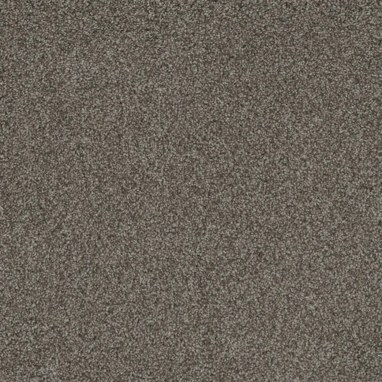 Close-up view of gray carpet texture, soft and fibrous.