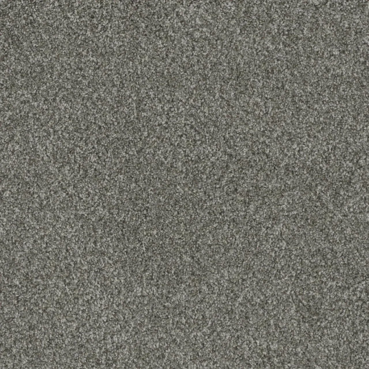 Gray, textured carpet.