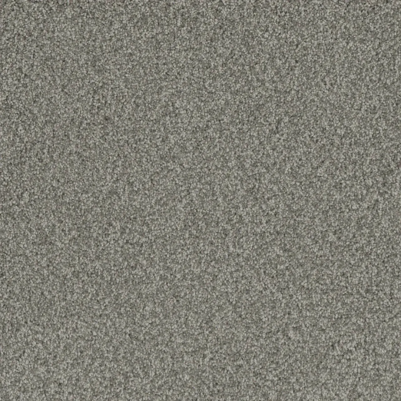 Gray, textured carpet.