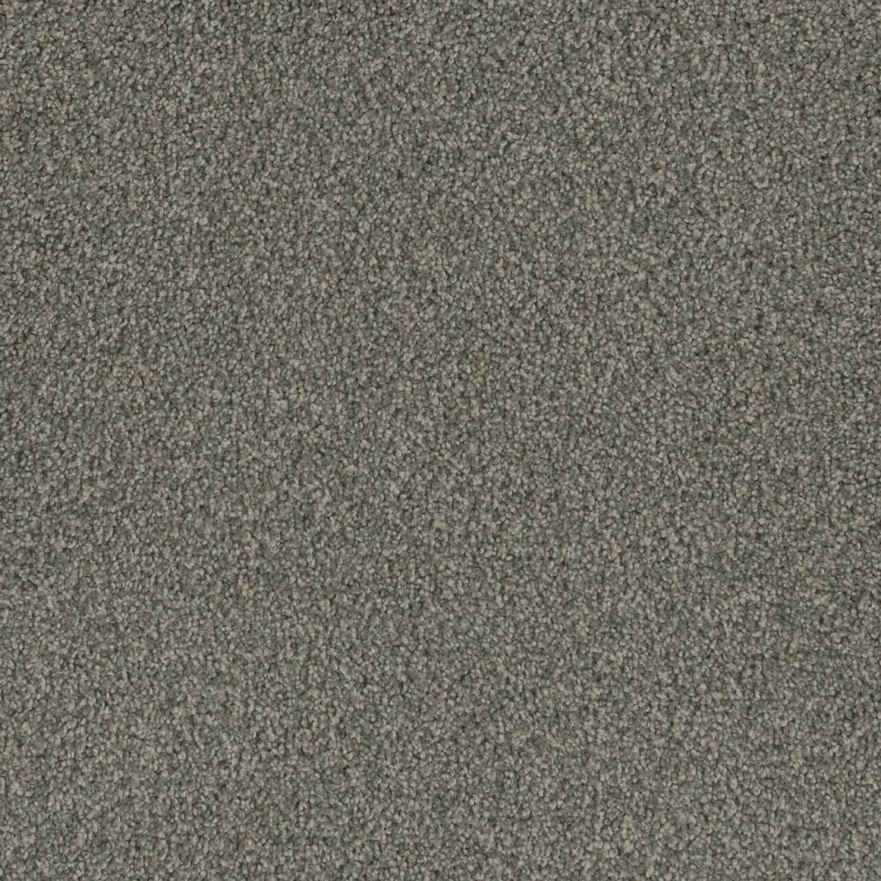 Gray carpet texture.