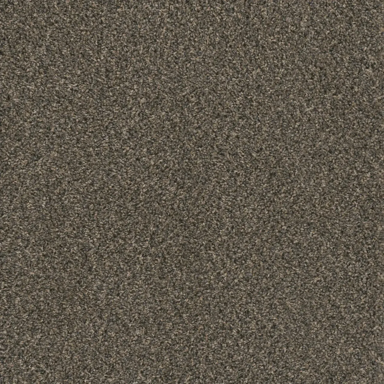 Brown and grey speckled carpet texture.