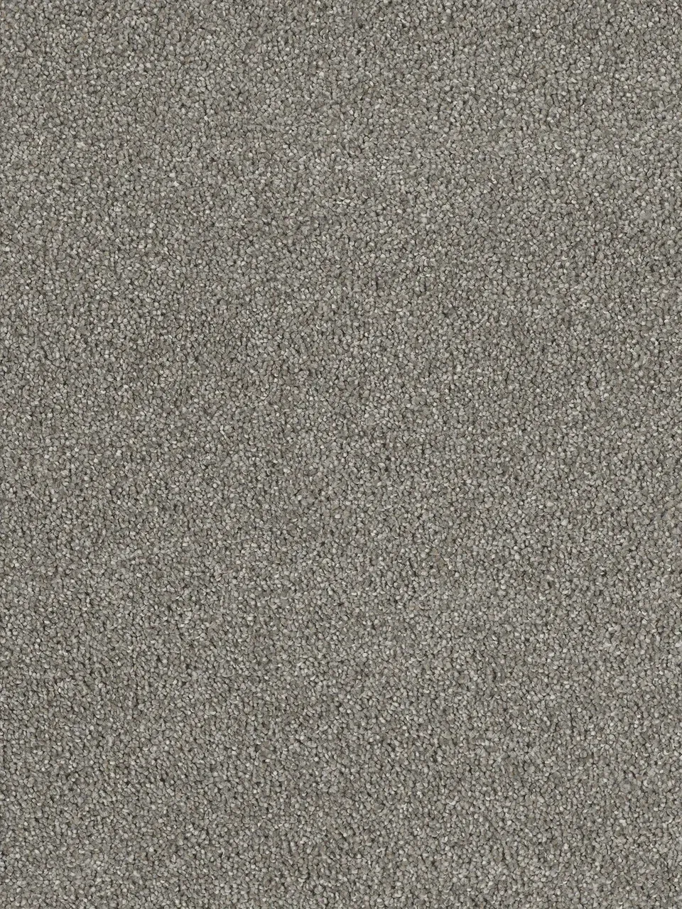 Gray speckled carpet texture.