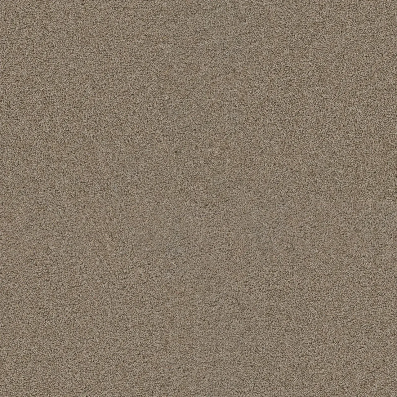 Close-up of tan-colored carpet texture, showing small, speckled fibers.