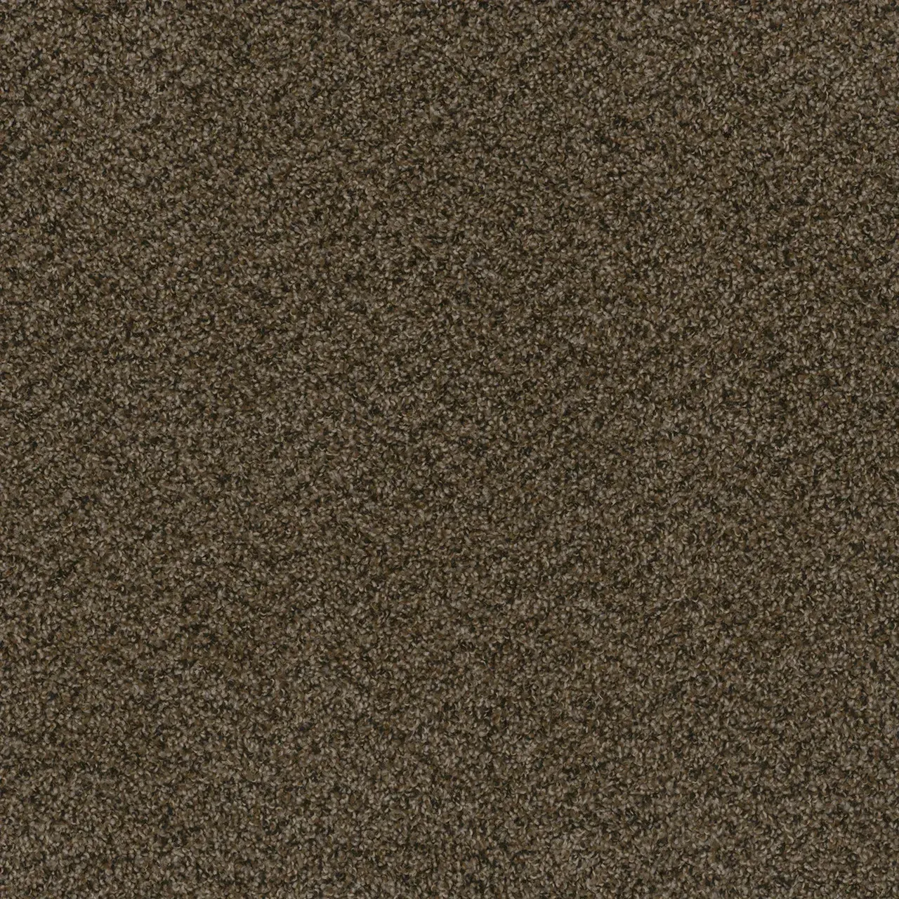 Brown textured carpet.