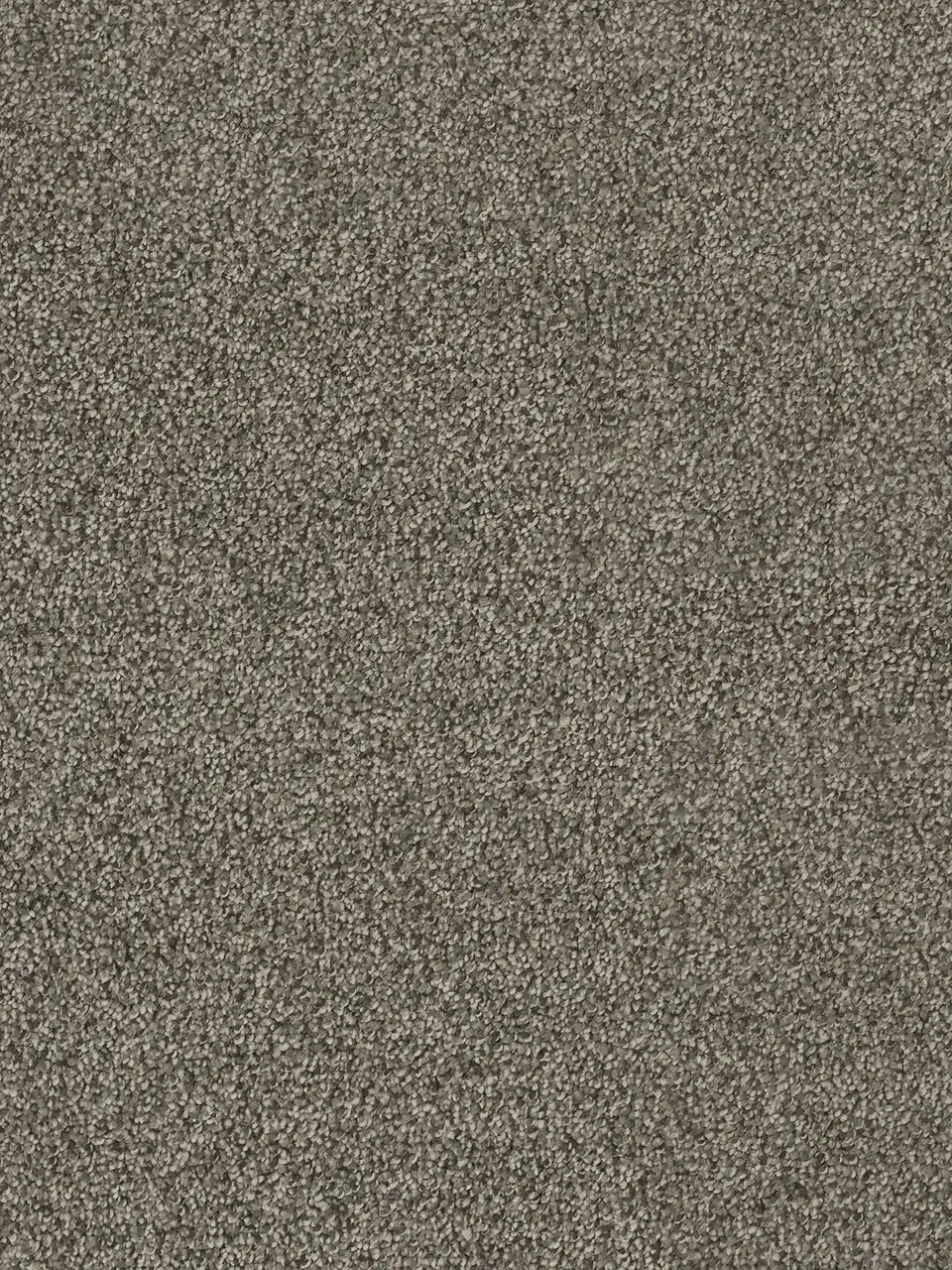 Close-up of light brown carpet with speckled, textured appearance.