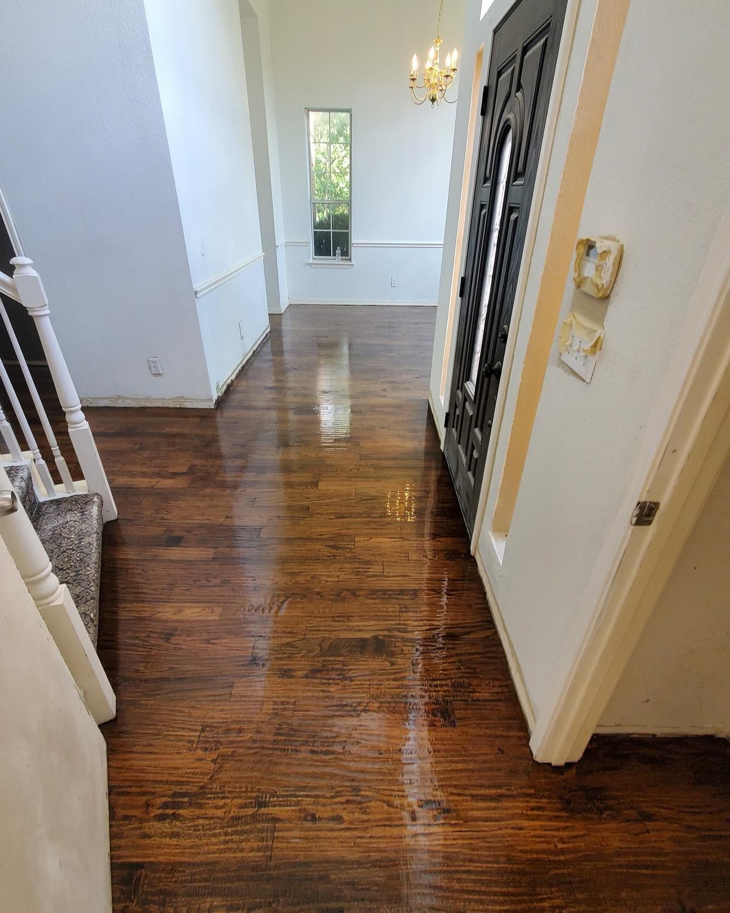 Hallway with shiny, dark wood floors, white walls, and a black front door.