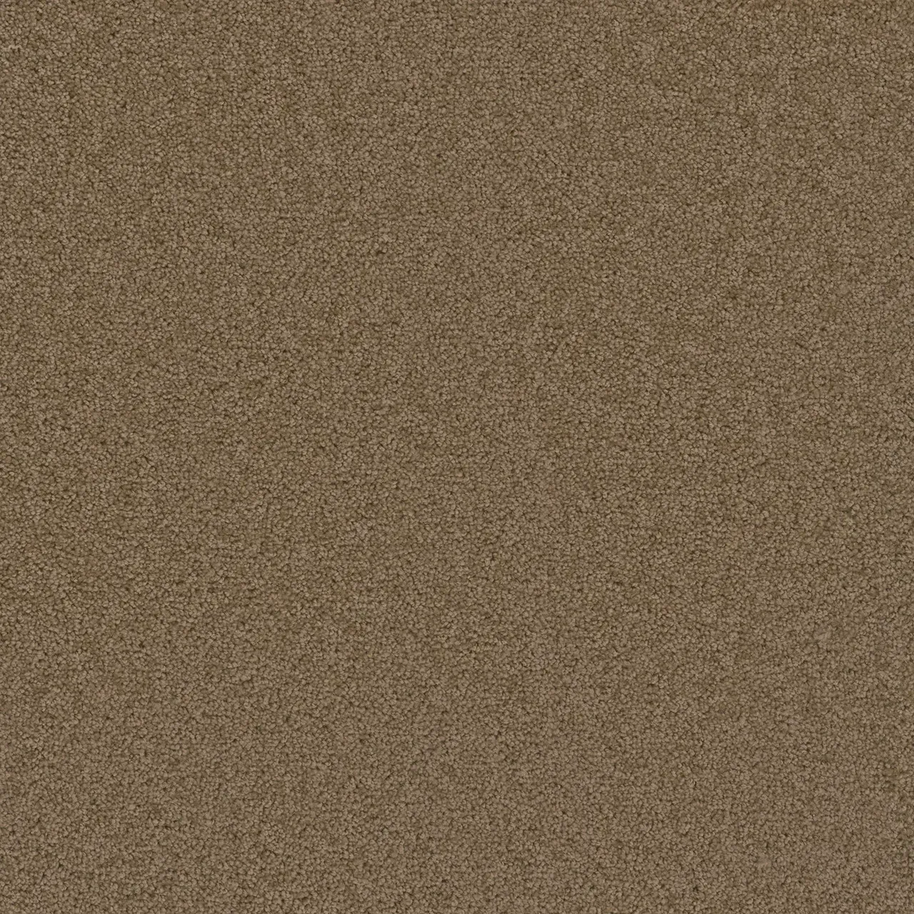 Brown textured surface, possibly carpet or fabric.