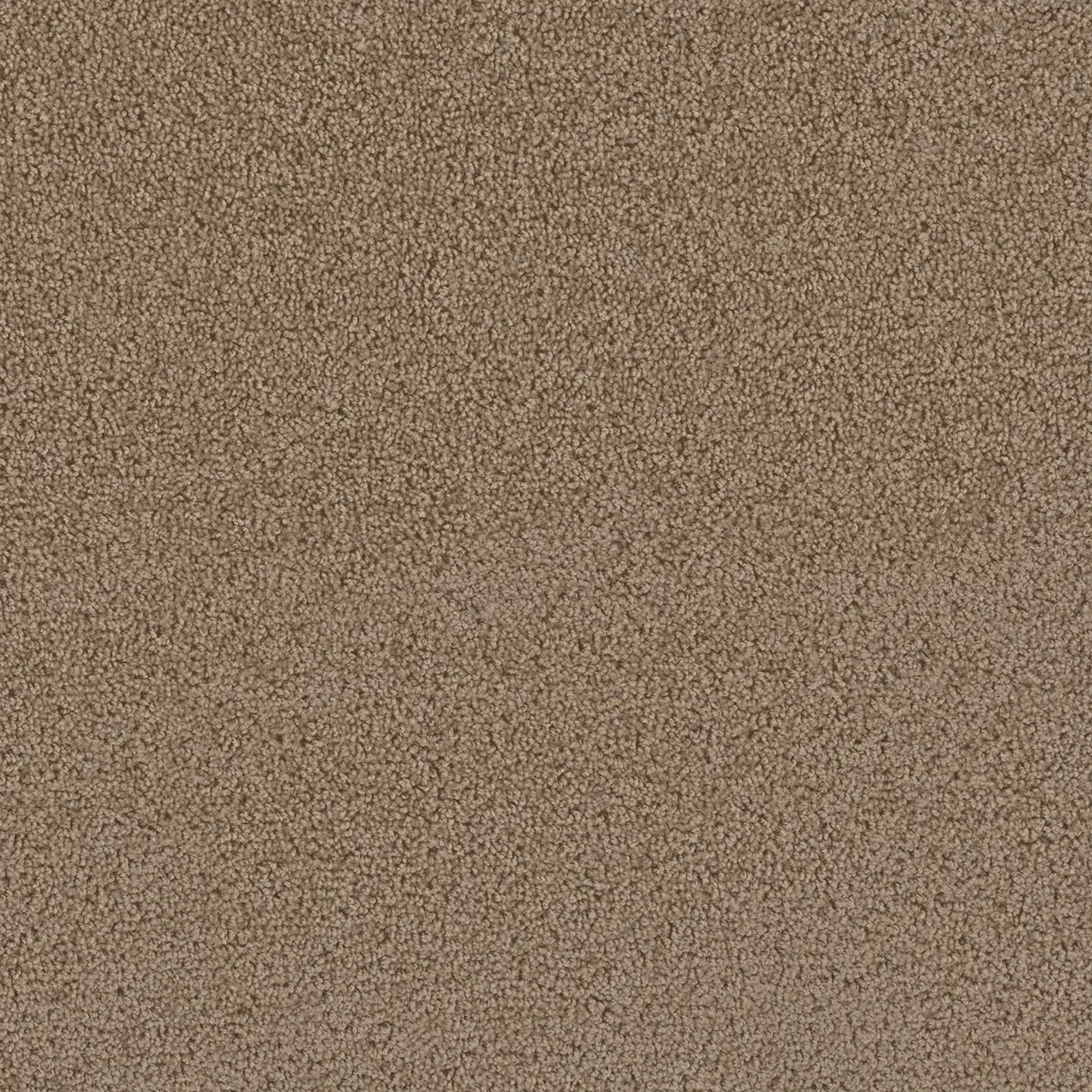 Tan carpet texture.